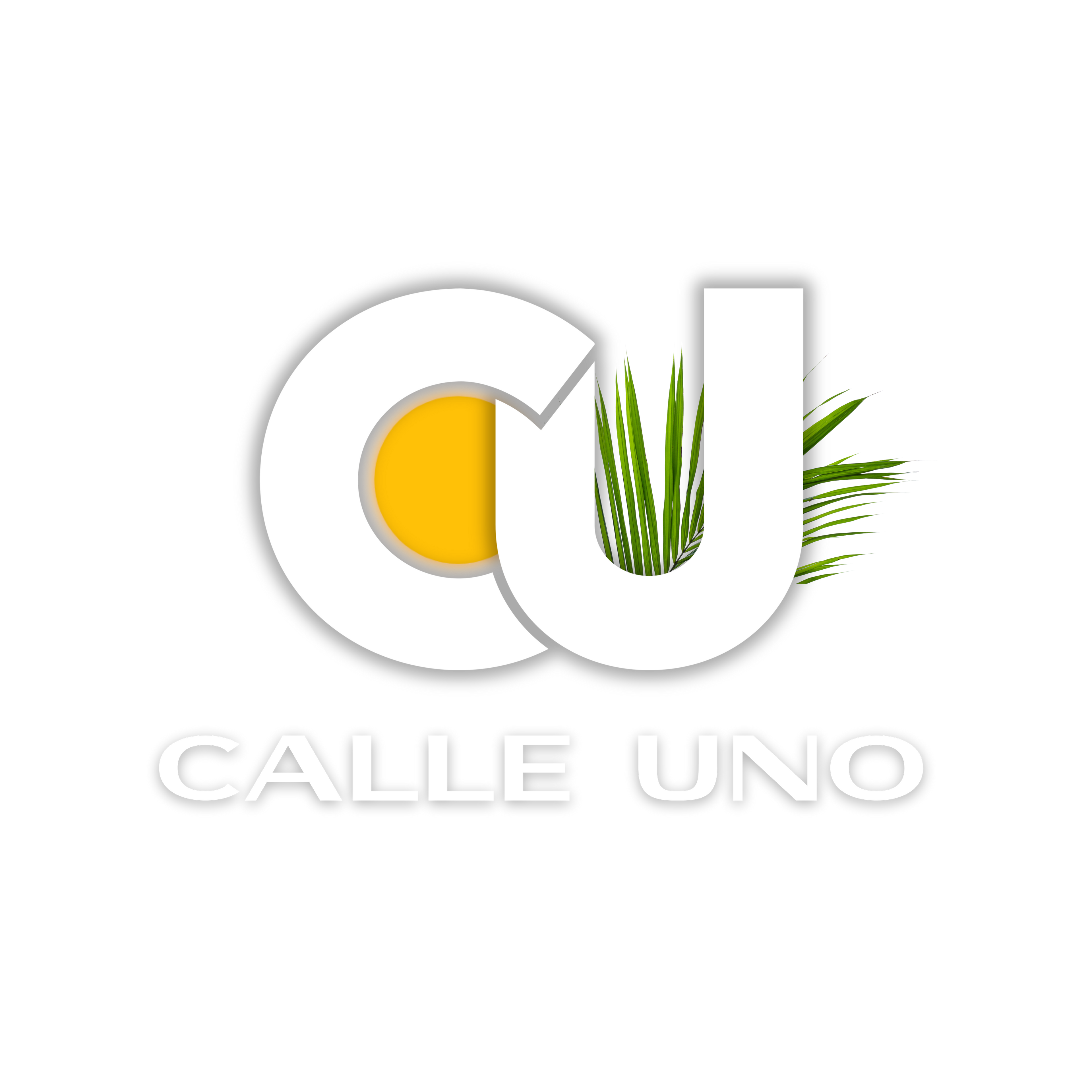 CALLE UNO